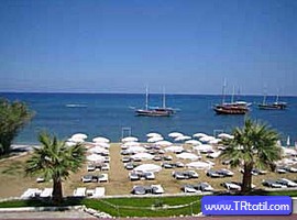 mosquito beach hotel